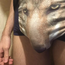 🍅🍅🍅🍅🍅1👌🏻🐺