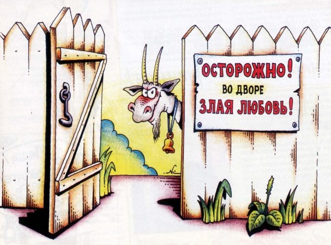 Любовь зла..