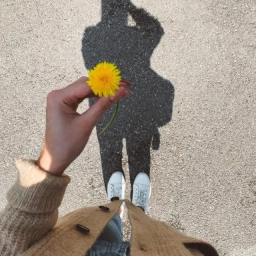 No Angel