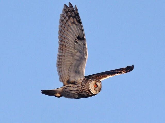 Эмоциональное казино ЧеКоГо закрывается