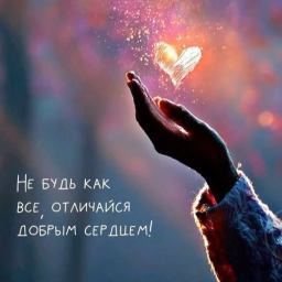 🕊️Голди🕊️