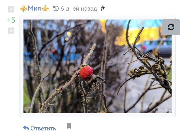 Изображение