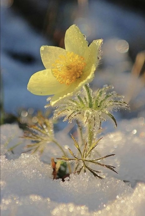 Всех с новым годом)