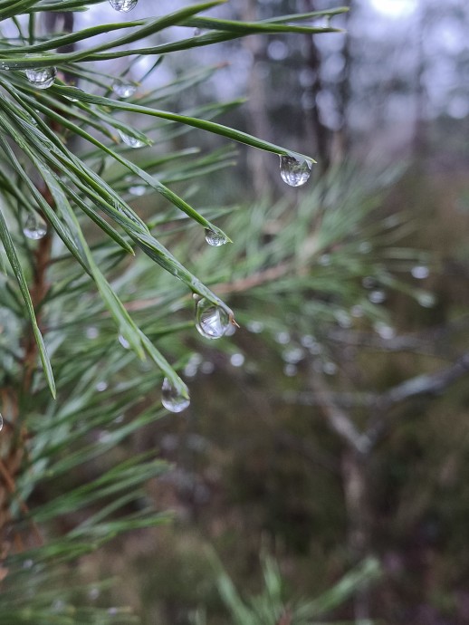 Человек в поисках смысла, 10 часть