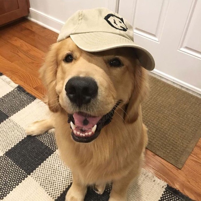 эм, сама решууу