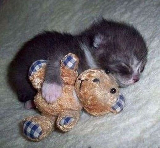 у меня др кстати