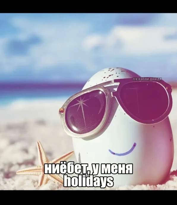 Как вы любите проводить отпуск/выходные?