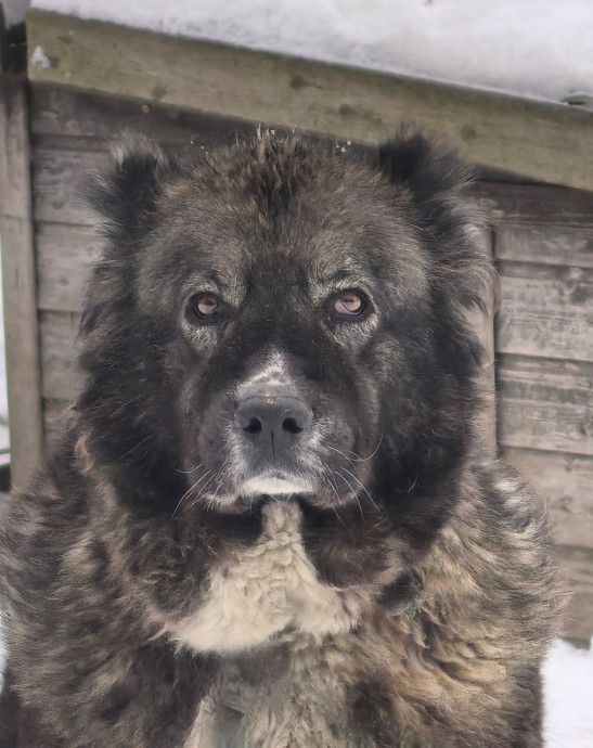 Надеюсь на помощь Надеюсь на помощь