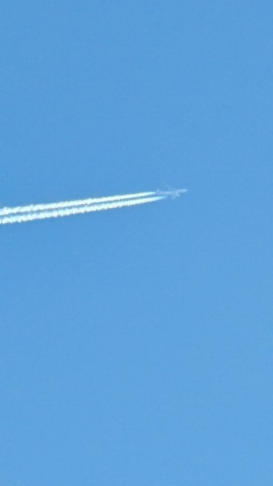 Рек рум закрывают! Рек рум закрывают!