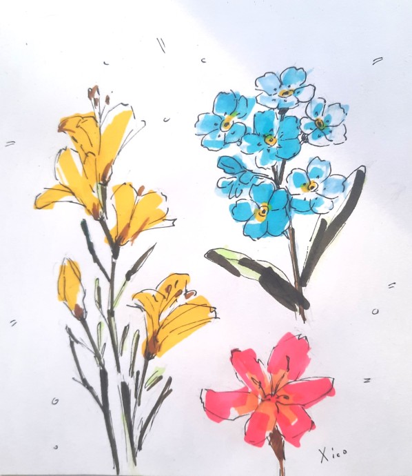 Цветы. Цветы.