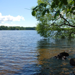 Водяной