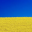 Белый Кролик ❤️