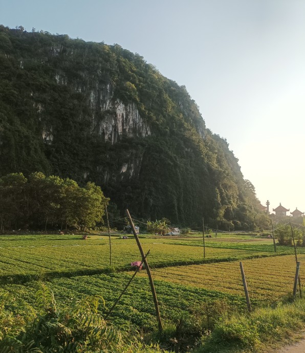 Непутёвая заметка из Вьетнама Непутёвая заметка из Вьетнама