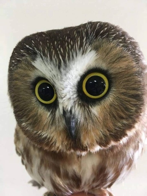 Вас приветствует эмоциональное казино Что?Когда?Где? В ЧПТ Вас приветствует эмоциональное казино Что?Когда?Где? В ЧПТ