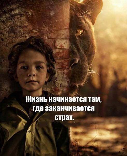 Просто мысли вслух.