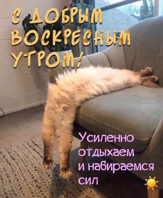 За чашкой чая... За чашкой чая...
