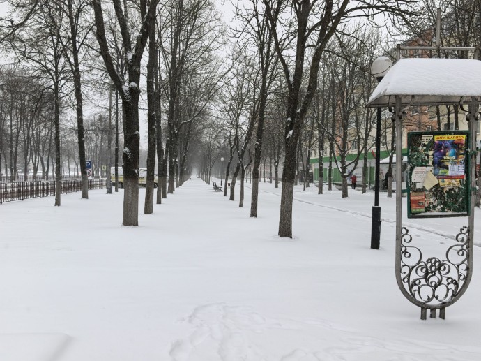 Каприз