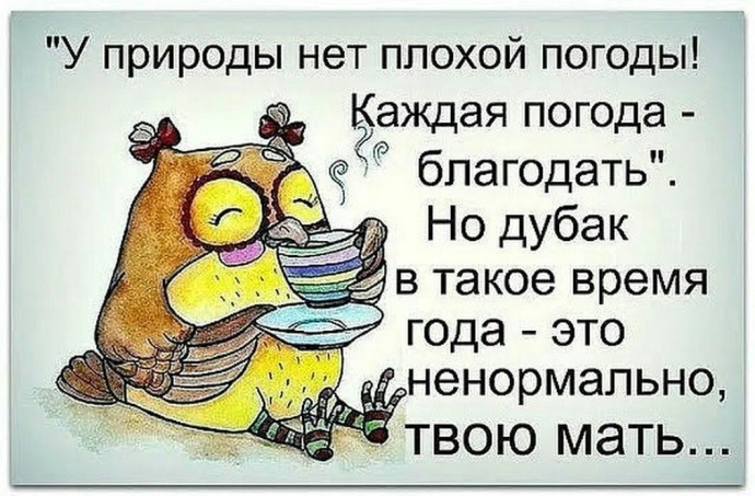 У природы нет....