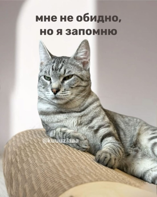 Обида...забыть? забить? Запомнить и отомстить.