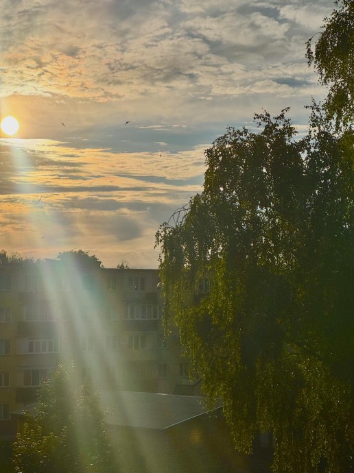 Прекрасное утро.