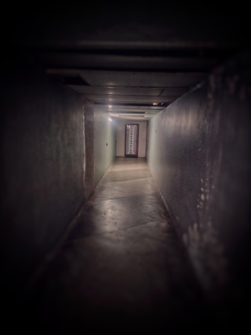 Сны о несбывшемся. Сны о несбывшемся.