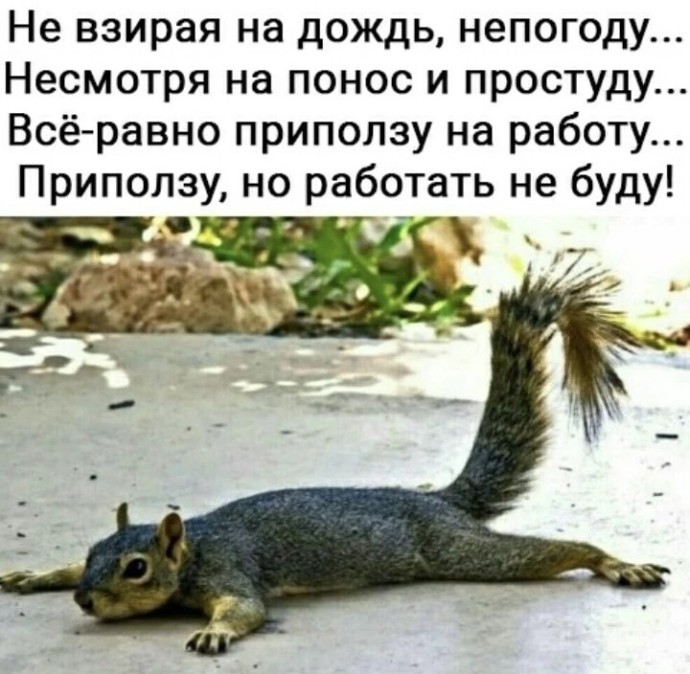 _____Поиграем?____