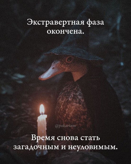 Поиграем в ассоциации?