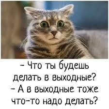 Выходные: перезагрузка или новая гонка?