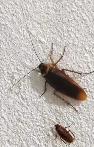 Мастер-класс по выживанию