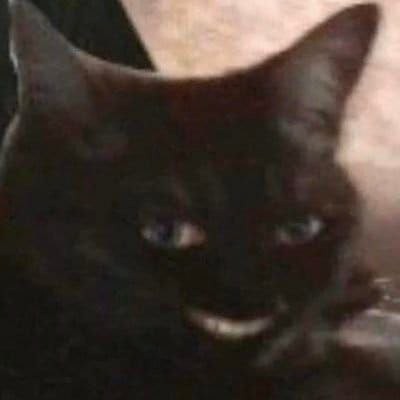 Rage bait: слово года по версии Oxford University Press Rage bait: слово года по версии Oxford University Press