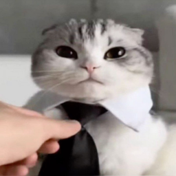 Котэ-дэ-Коготье
