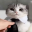 Котэ-дэ-Коготье