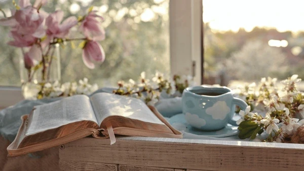 Шоу Интуиция: "Человек-Окно". Третий выпуск. Шоу Интуиция: "Человек-Окно". Третий выпуск.