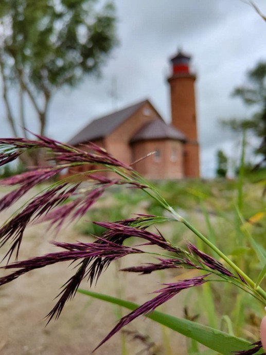 Шоу Интуиция: &laquo;Хранитель Смыслов или Садовница Душ&raquo;