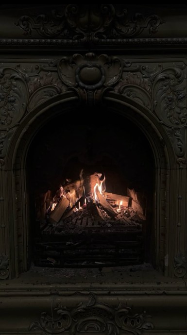 Чёрный мёд зимы»