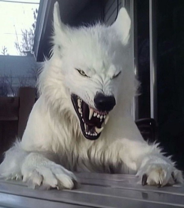 Как вы относитесь к вампирам?