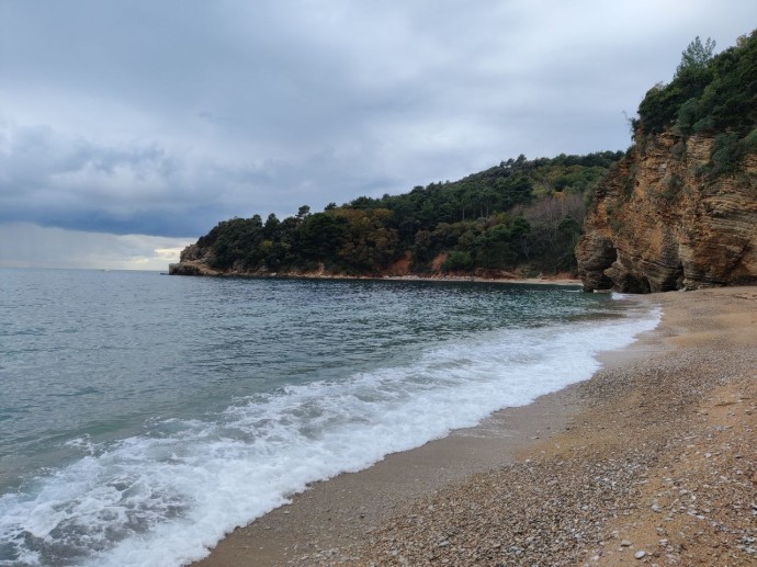 Лето чатику среди зимы