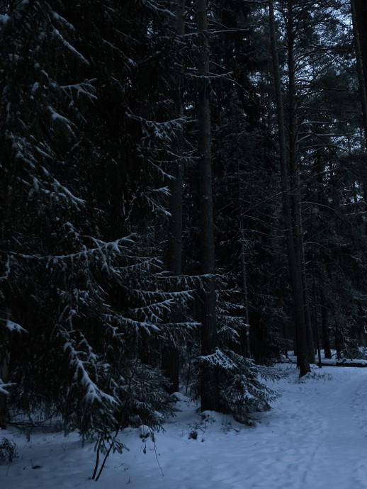 Прекрасного денечка всем!