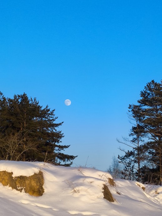 А давайте прогуляемся)