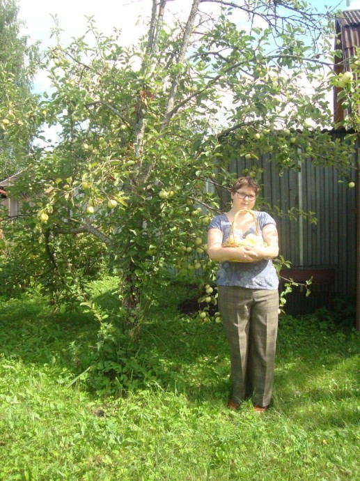 Яблочный сезон.