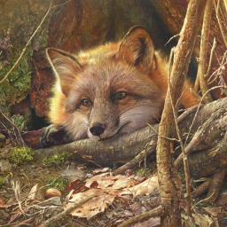 Осенний Лис