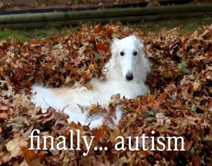 насколько подработка онлайн хорошая тема?