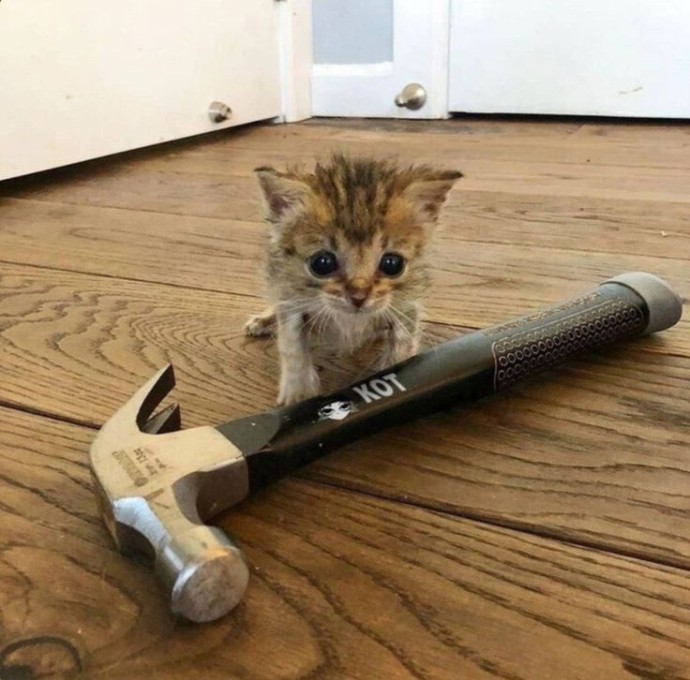 игнорируйте, мне надо просто выговориться игнорируйте, мне надо просто выговориться