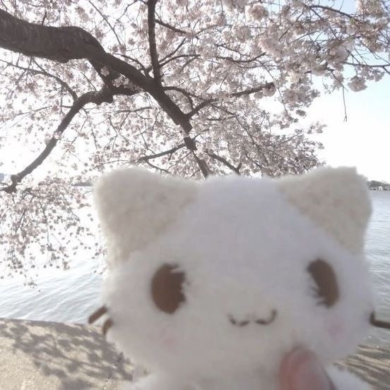 пепэ шнеле ватафа