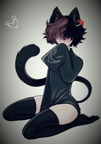 где искать фембоев