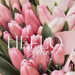 Кэтрин Пирс