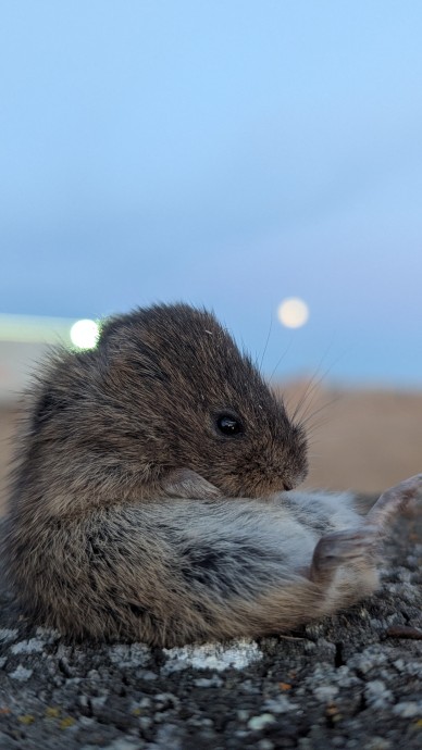 Продолжите песню