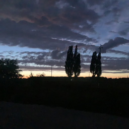 🌅 Закатная // Нимфа