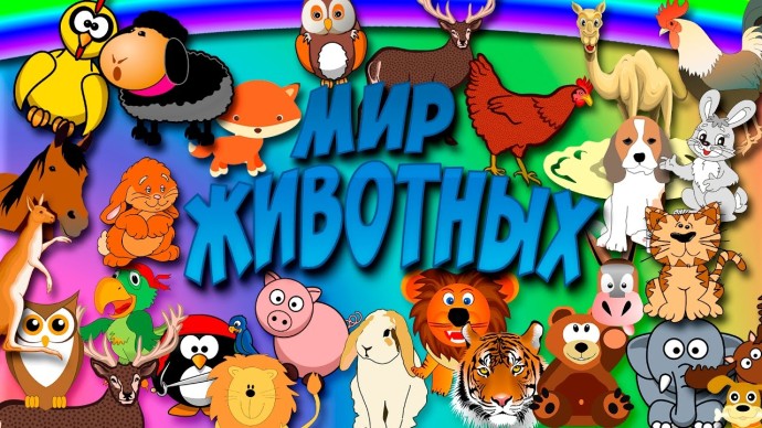 В МИРЕ ЖИВОТНЫХ