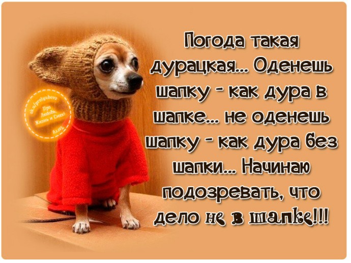 Лучше я отморожу уши,  но шапку не надену